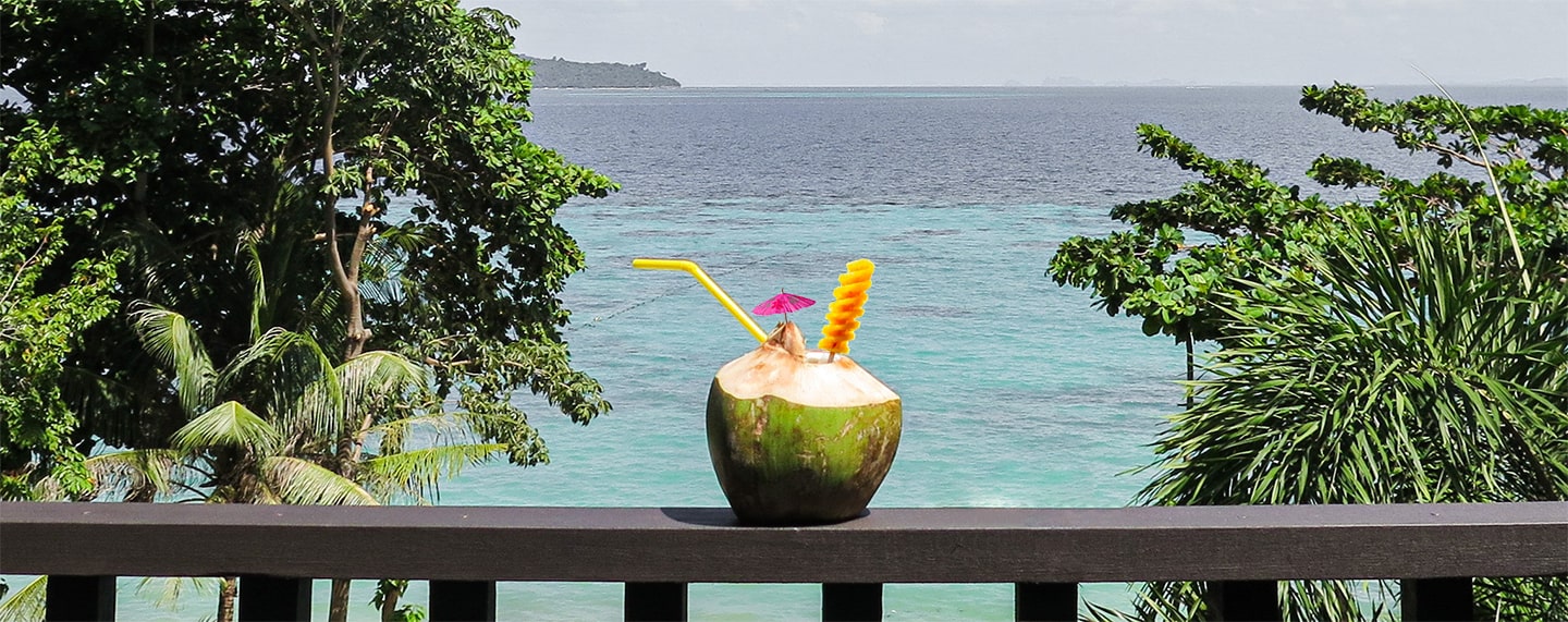 Pina colada in a coconut on a fence in front of a sea
